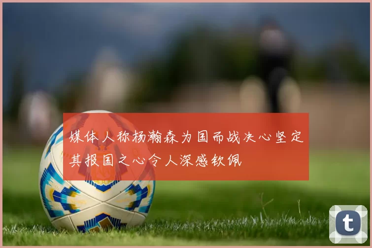 媒体人称杨瀚森为国而战决心坚定其报国之心令人深感钦佩