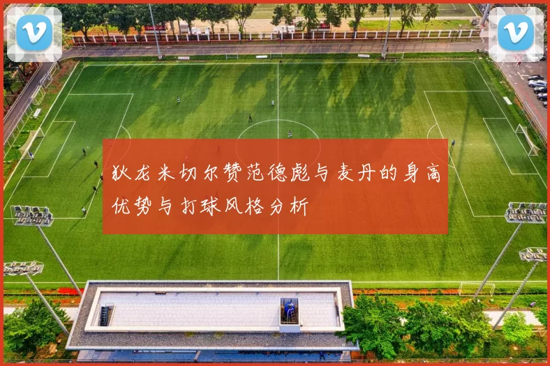 狄龙米切尔赞范德彪与麦丹的身高优势与打球风格分析